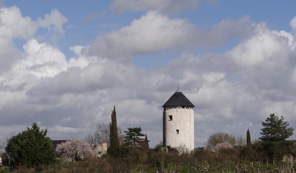 Bed and Breakfast Au Moulin Geant Rochefort-sur-Loire Zewnętrze zdjęcie