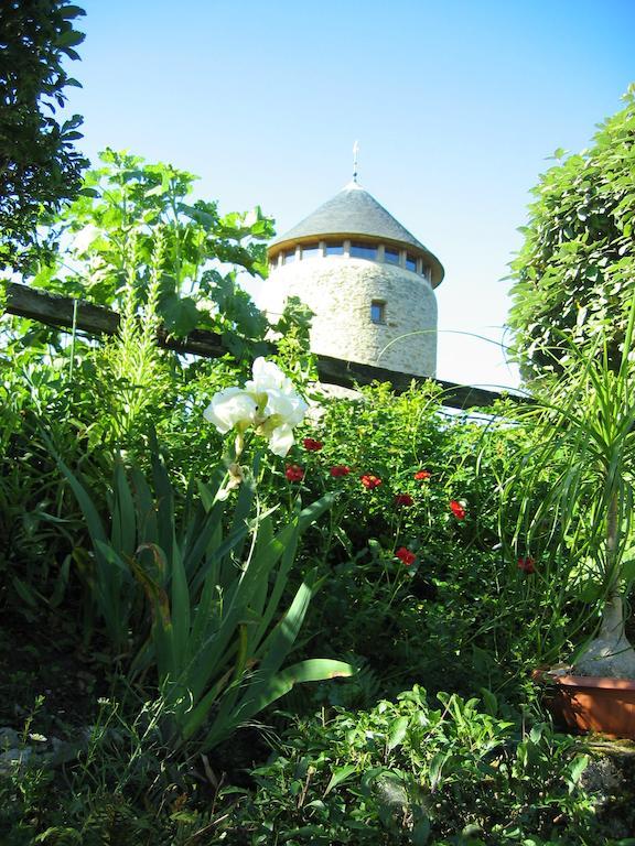 Bed and Breakfast Au Moulin Geant Rochefort-sur-Loire Zewnętrze zdjęcie